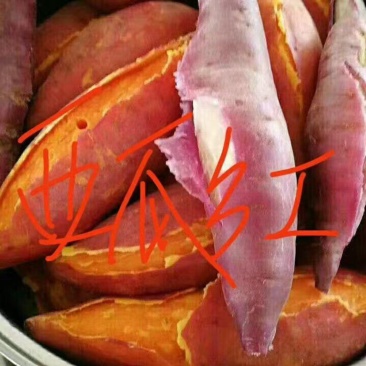 大量供应西瓜，烟薯