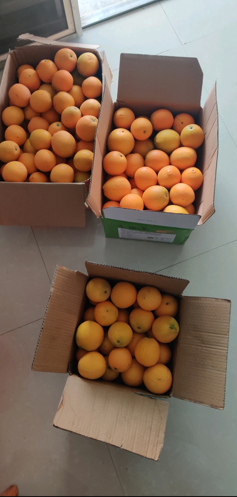 纽荷尔脐橙，纯甜，2万斤货，可随时出