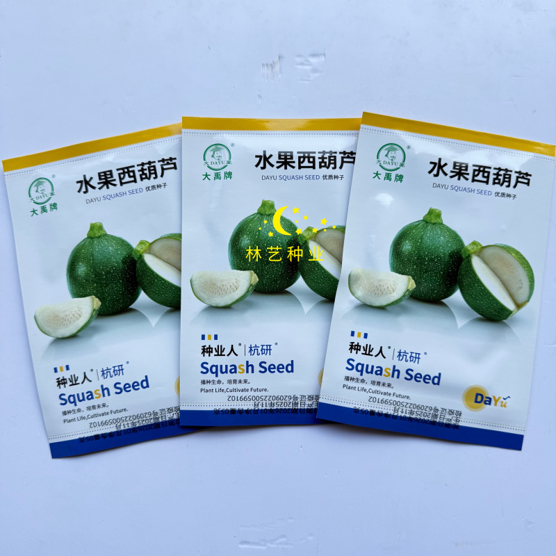大禹水果西葫芦种子深绿油亮细嫩高产抗病商品性佳好