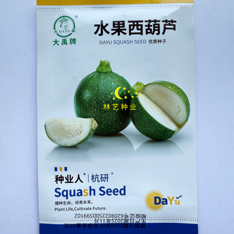 大禹水果西葫芦种子深绿油亮细嫩高产抗病商品性佳好