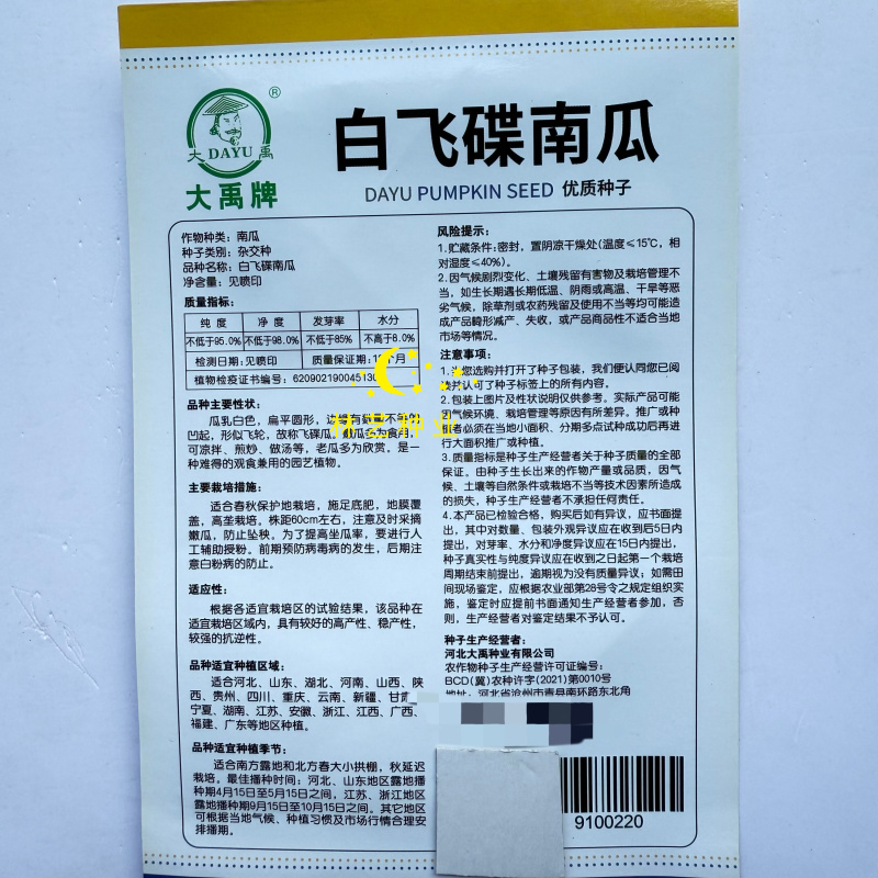 大禹白飞碟南瓜种子乳白色可食用可观赏特色南瓜农家春秋