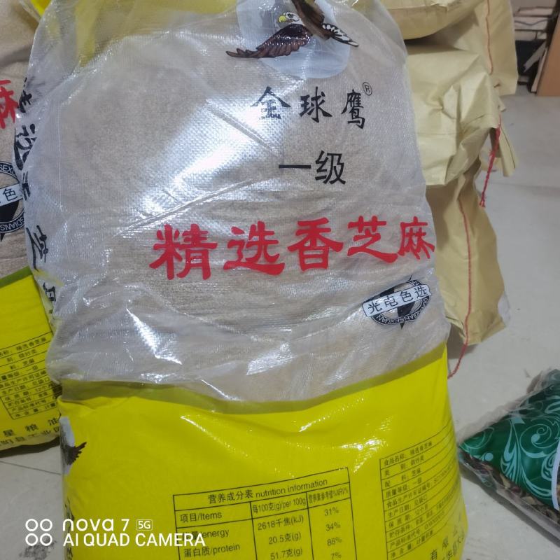 熟白芝麻香芝麻规格齐全大货供应