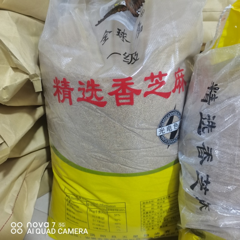 熟白芝麻香芝麻规格齐全大货供应