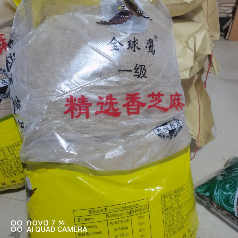 熟白芝麻香芝麻规格齐全大货供应