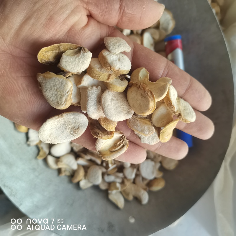 浙贝母片无硫磺熏蒸切片规格齐全支持一件代发