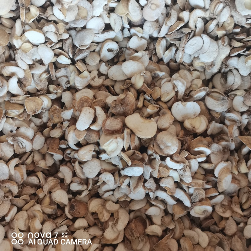 浙贝母片无硫磺熏蒸切片规格齐全支持一件代发