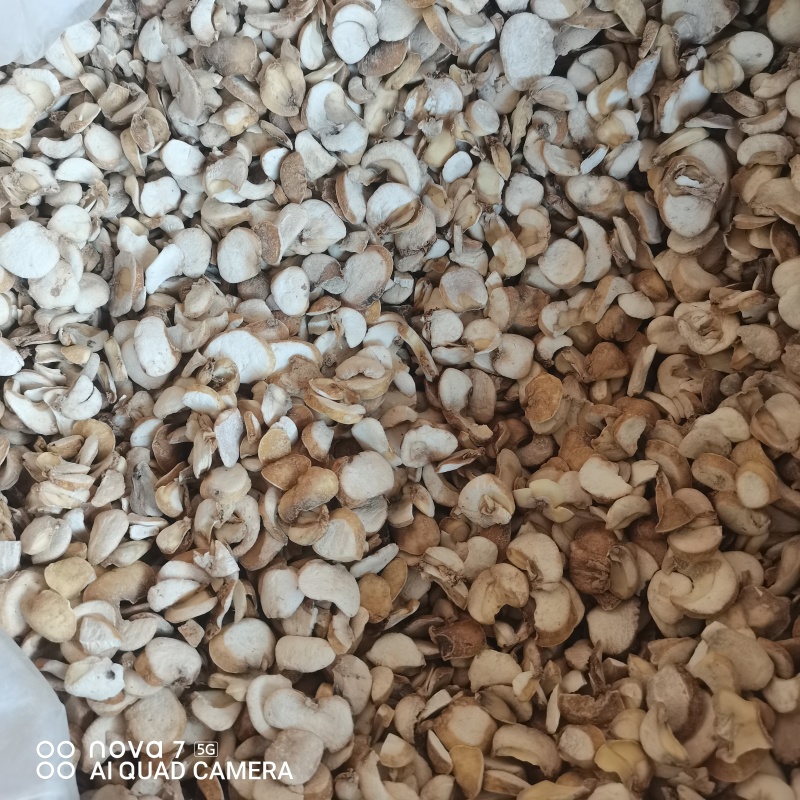 浙贝母片无硫磺熏蒸切片规格齐全支持一件代发