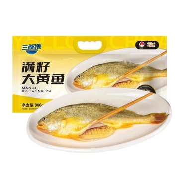 回游季大黄花鱼