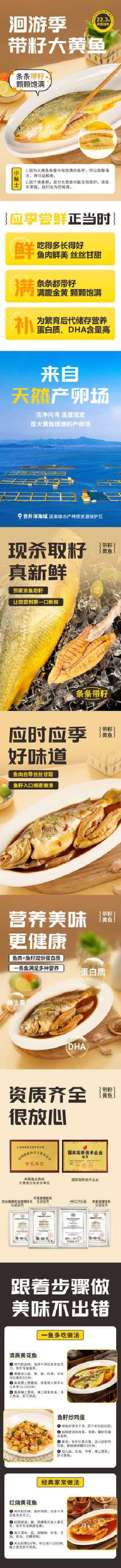 回游季大黄花鱼
