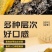 回游季大黄花鱼