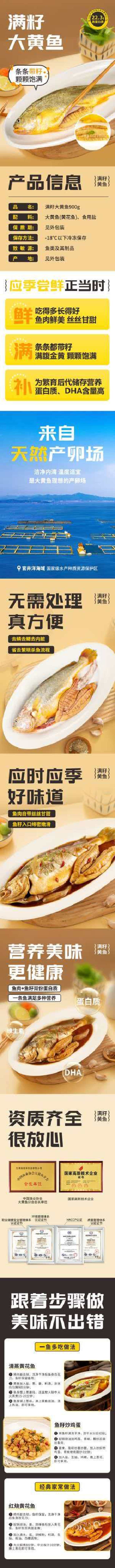 回游季大黄花鱼