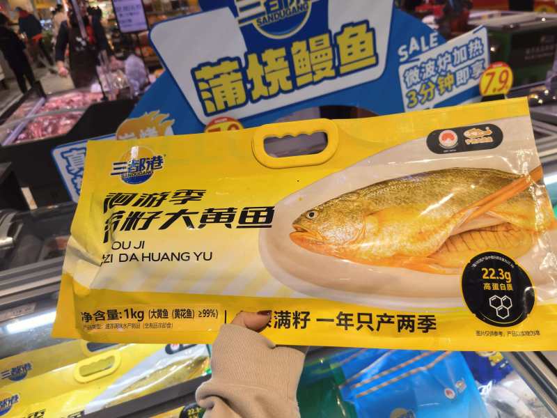 回游季大黄花鱼