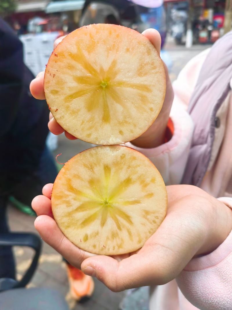 四川甘孜州泸定县高原糖心红富士