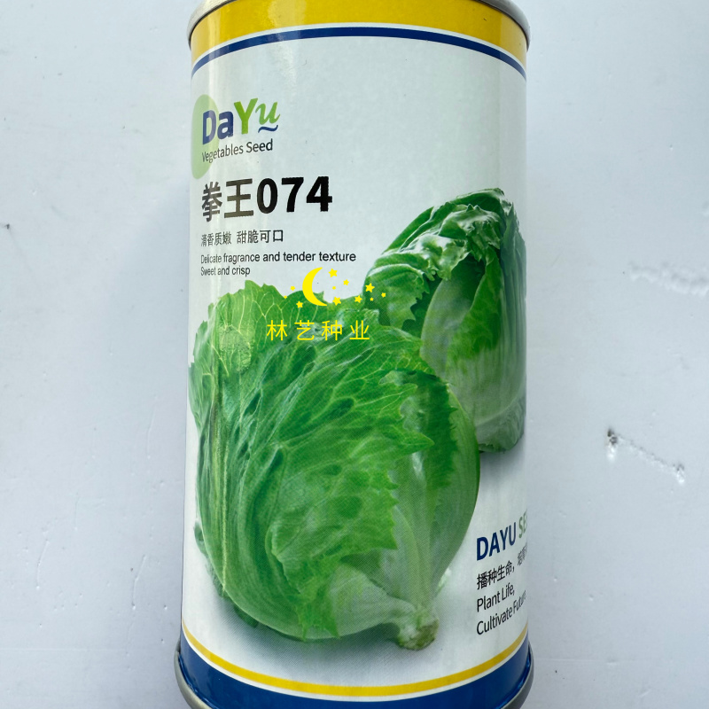 大禹拳王074结球生菜种子清香质嫩甜脆可口包心中早熟