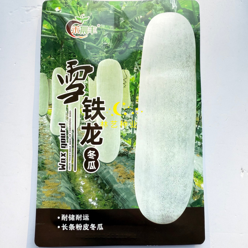 晨丰雪铁龙粉皮冬瓜种子中熟炮弹形粉皮冬瓜籽腔小肉厚