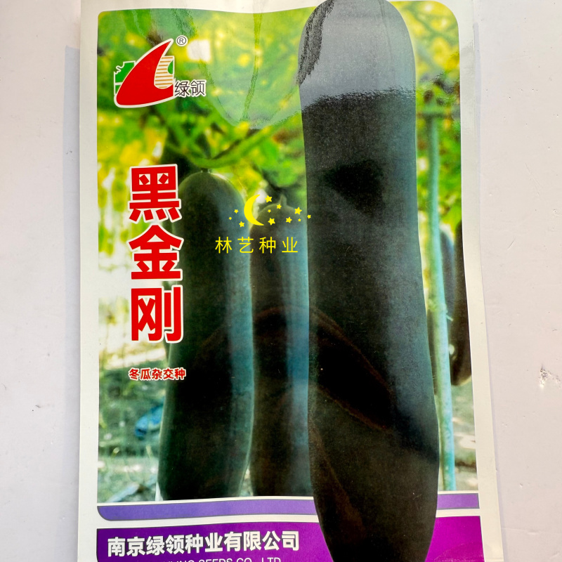 绿领黑金刚冬瓜种子杂交炮弹型墨绿皮大冬瓜种子高产肉质致密