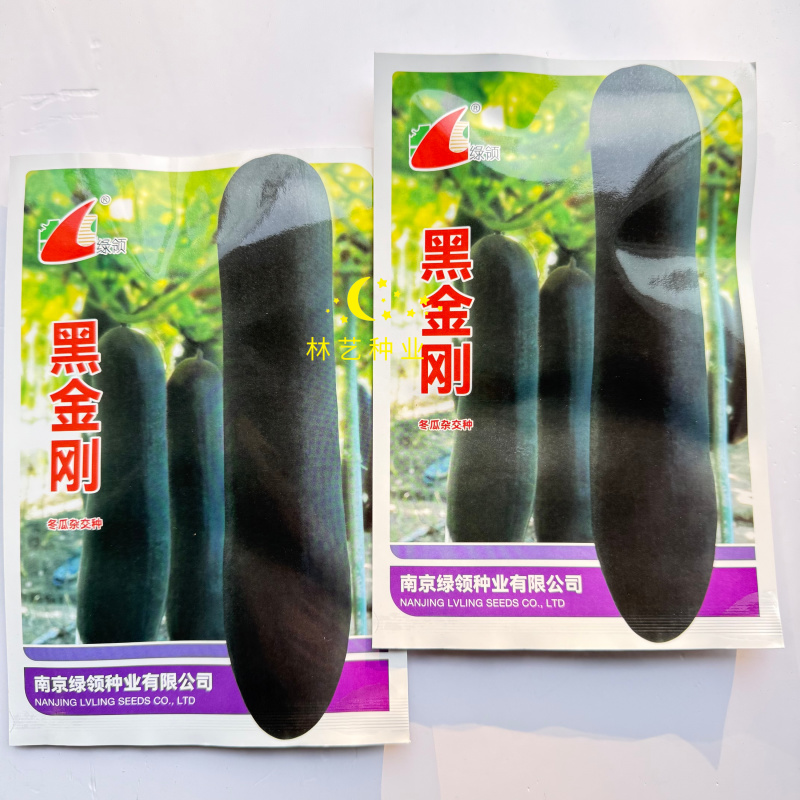 绿领黑金刚冬瓜种子杂交炮弹型墨绿皮大冬瓜种子高产肉质致密