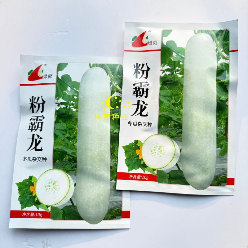 粉霸龙冬瓜种子果实长圆柱形粉色冬瓜种子高产耐贮运冬瓜