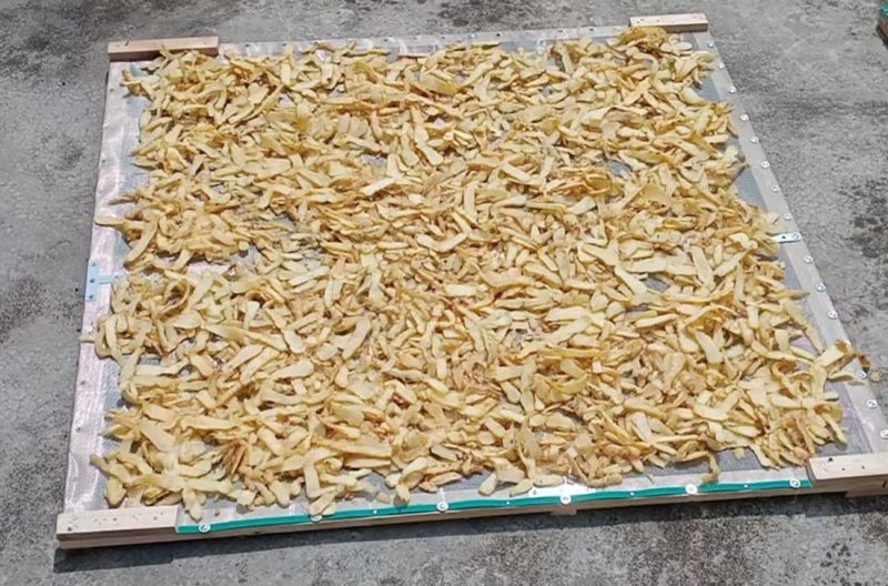 玉竹干货