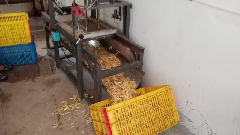 玉竹干货