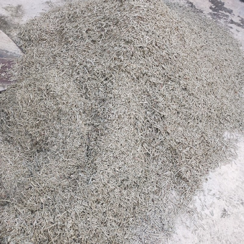 中草药节节草