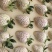 白色梦之莹脆玉草莓