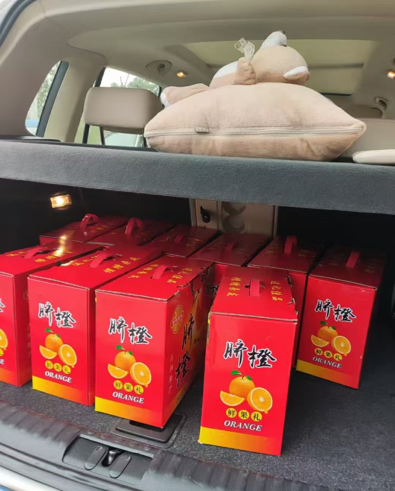 【现摘现发！爆汁橙子来啦】树上熟的阳光味道