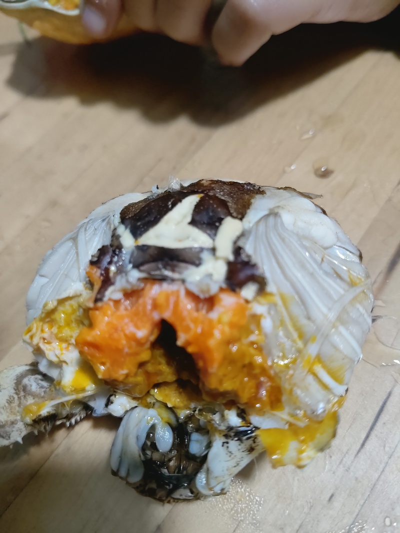 老头蟹