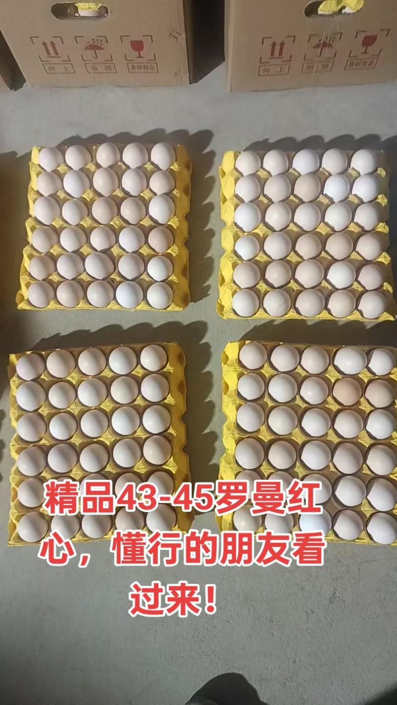 精品罗曼