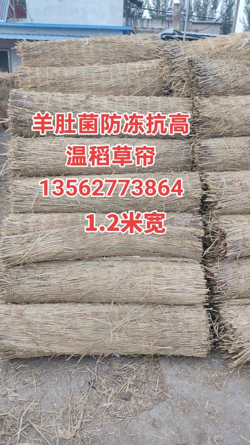 稻草苫草帘