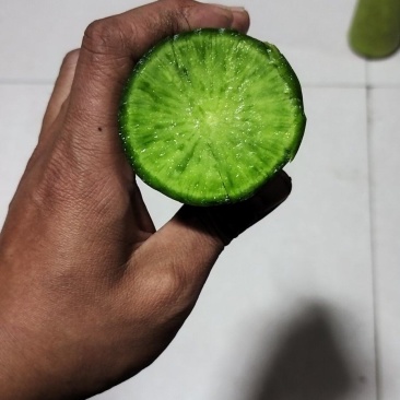 铁杆水果萝卜一手货源量大优惠