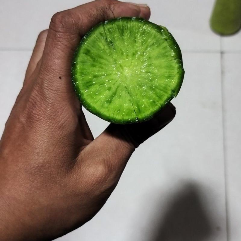 铁杆水果萝卜一手货源量大优惠