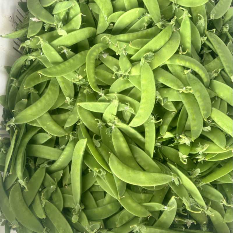 荷兰豆