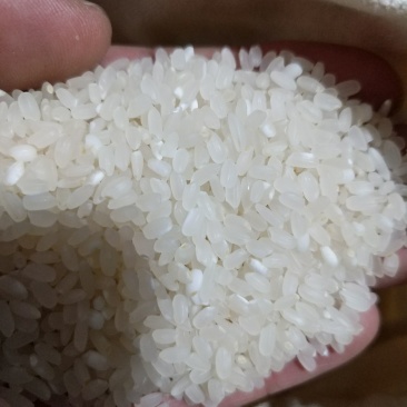 东北大米现磨现卖新江水灌溉农户自产自销10斤装