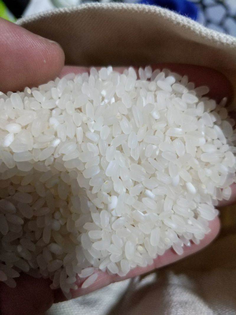 东北大米现磨现卖新江水灌溉农户自产自销10斤装