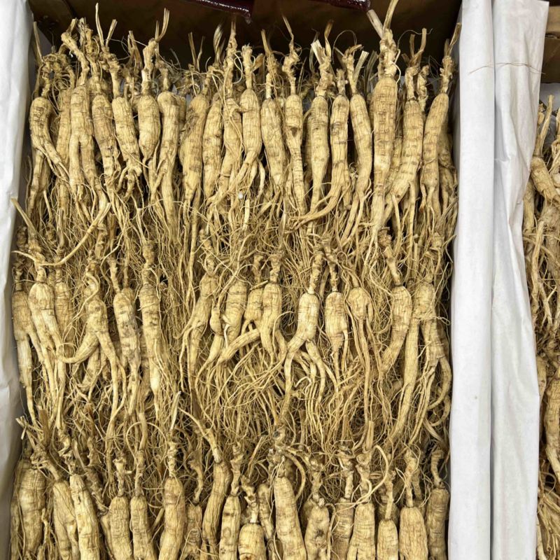 林下参打粉料