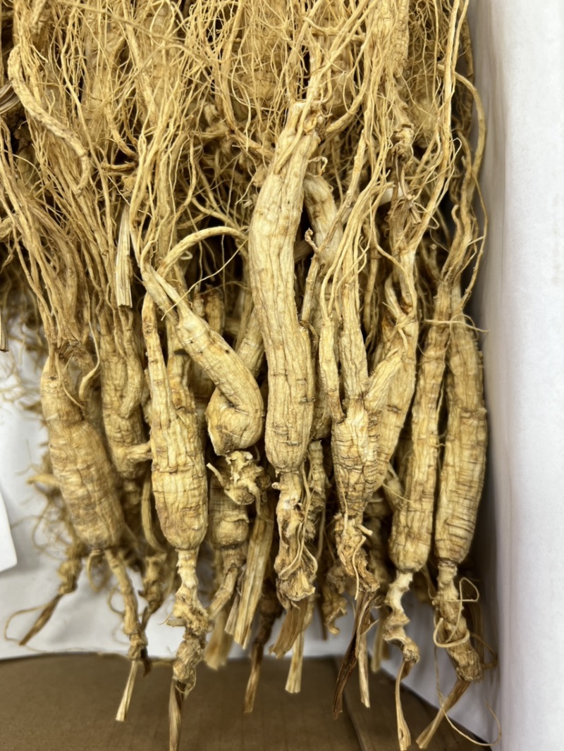林下参打粉料