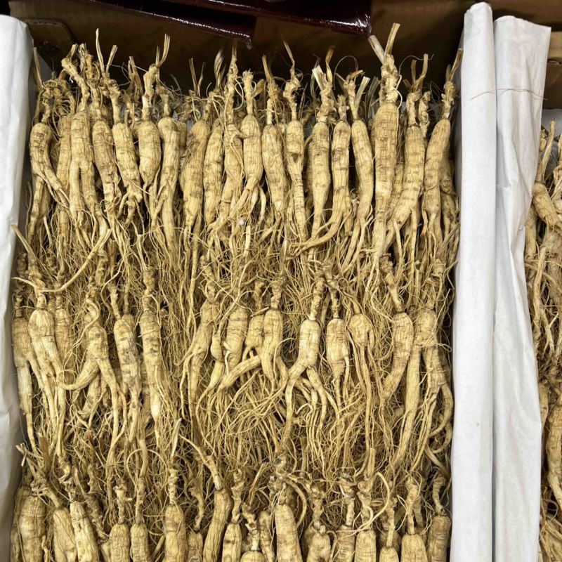 林下参打粉料