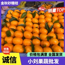 沙糖桔大量供应商超市场外贸有需要的联系