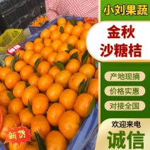 广西砂糖橘南丰蜜广大量供应商超市场出口