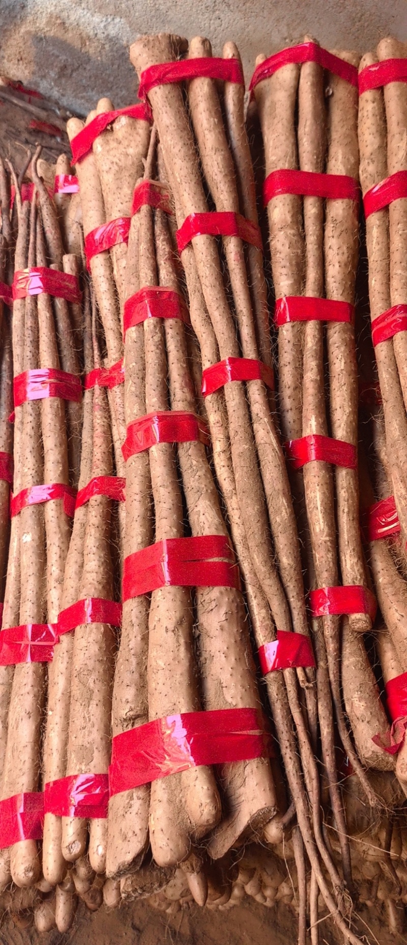 铁棍山药