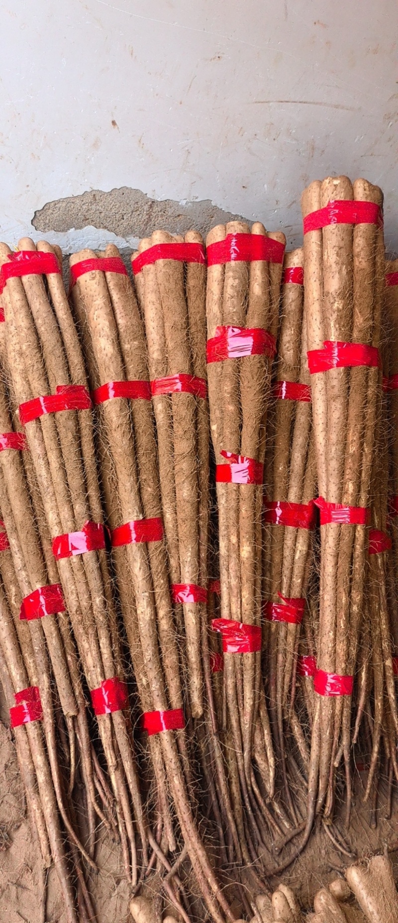 铁棍山药