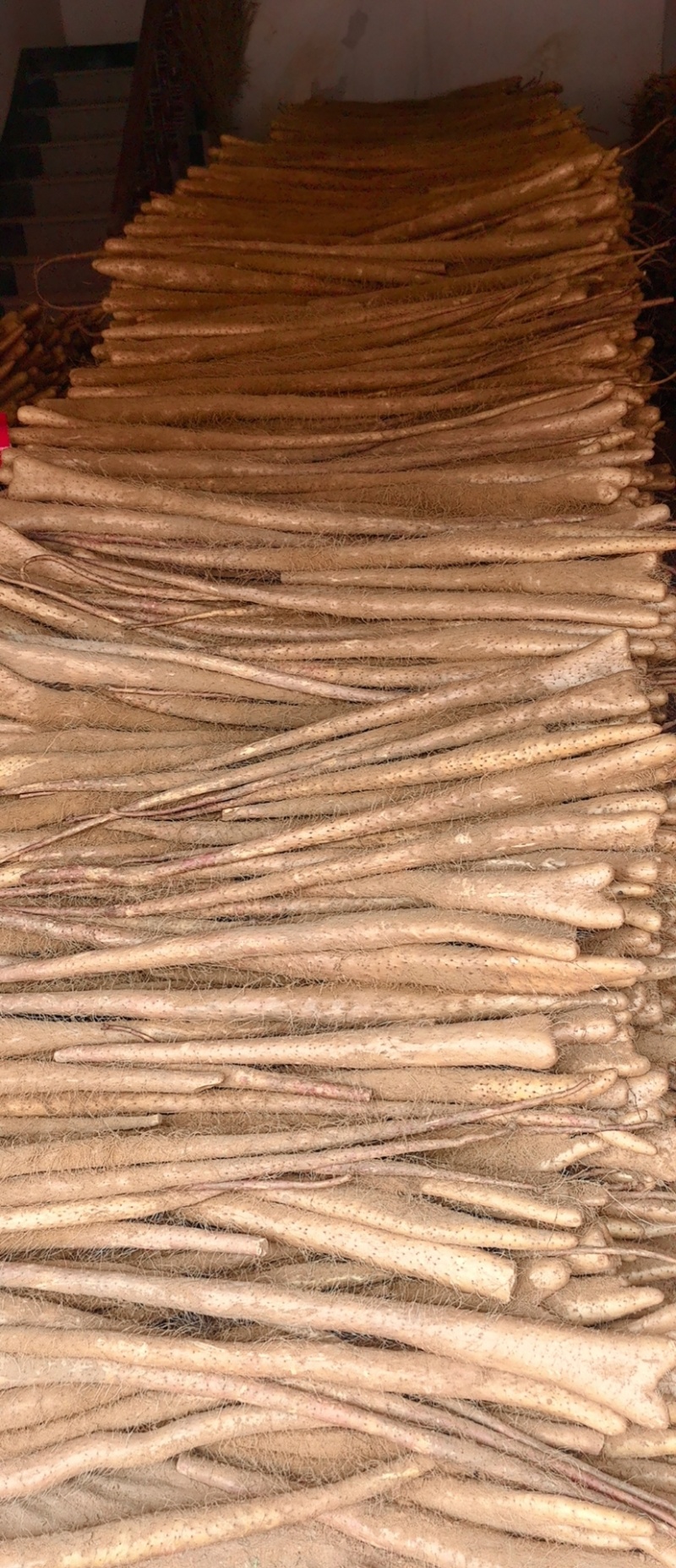 铁棍山药