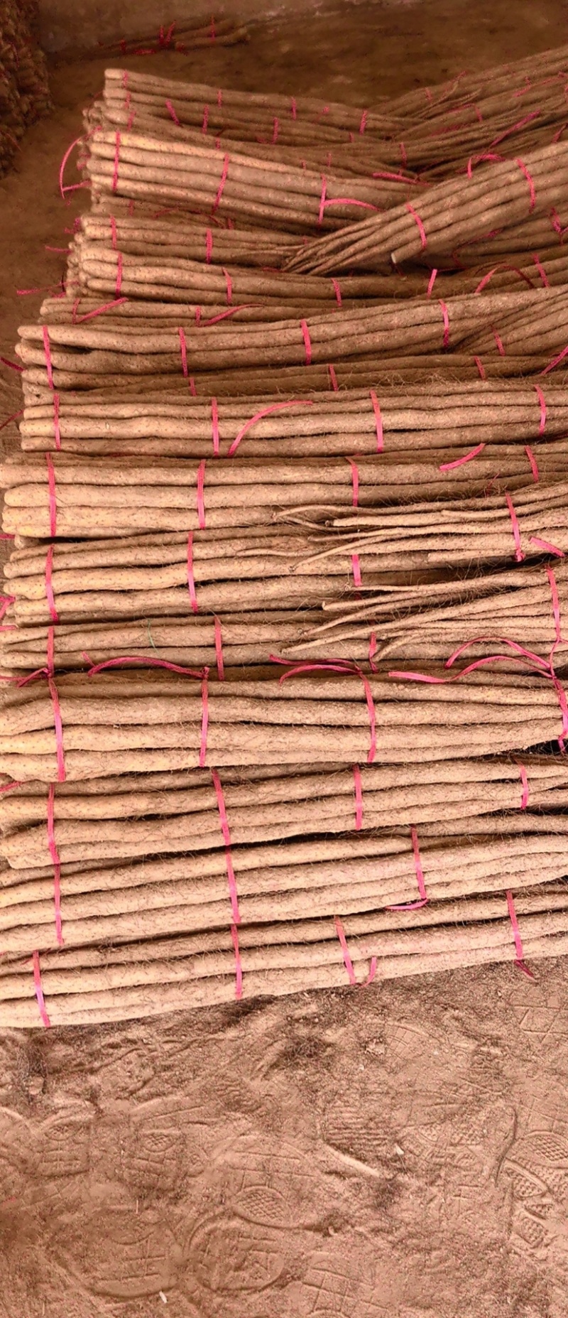 铁棍山药
