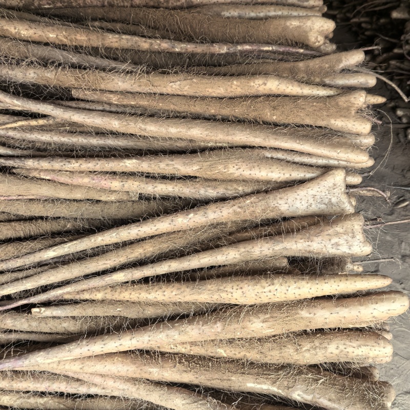 铁棍山药