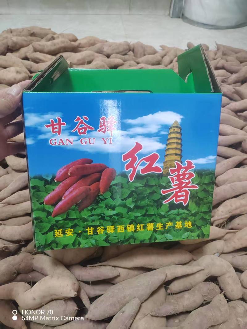 延安甘谷驿红薯