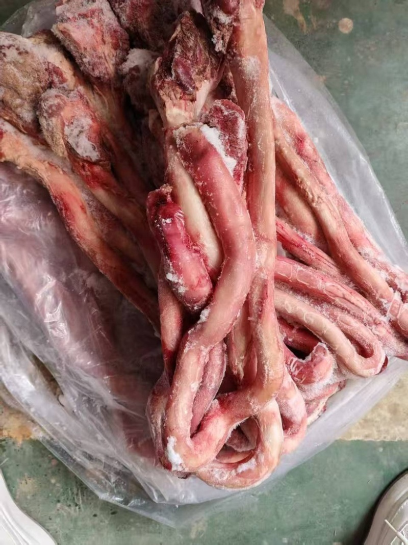 牛鞭带点根