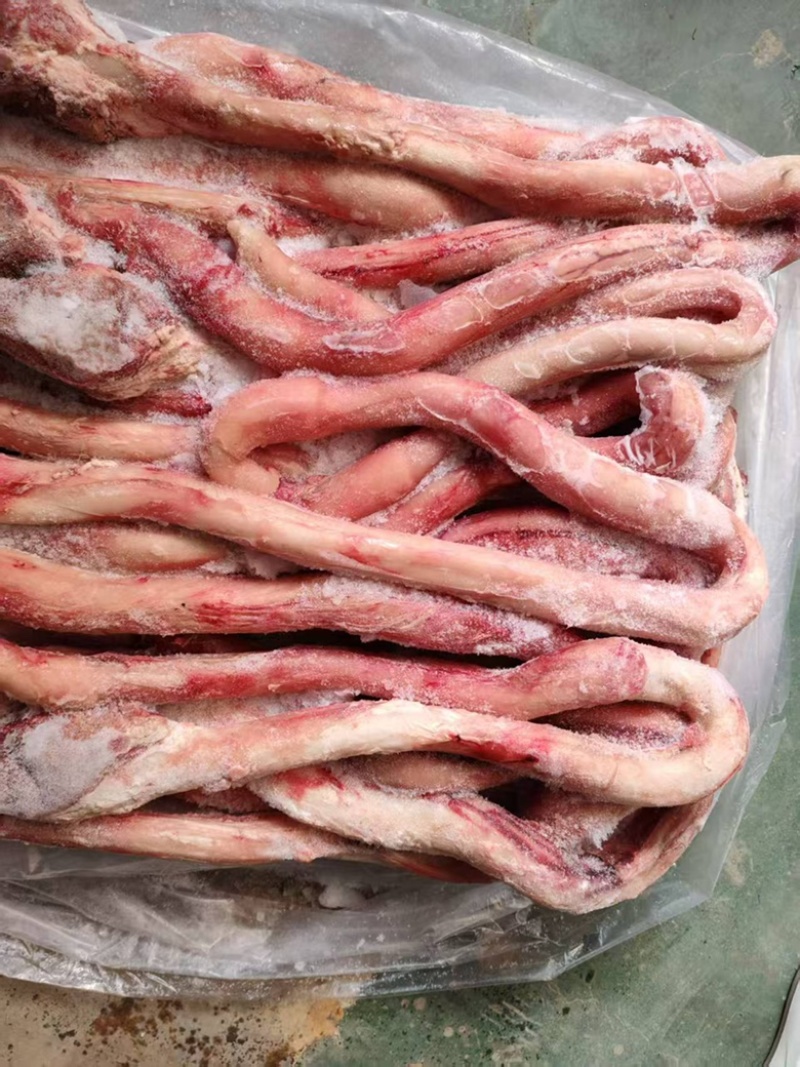 牛鞭带点根