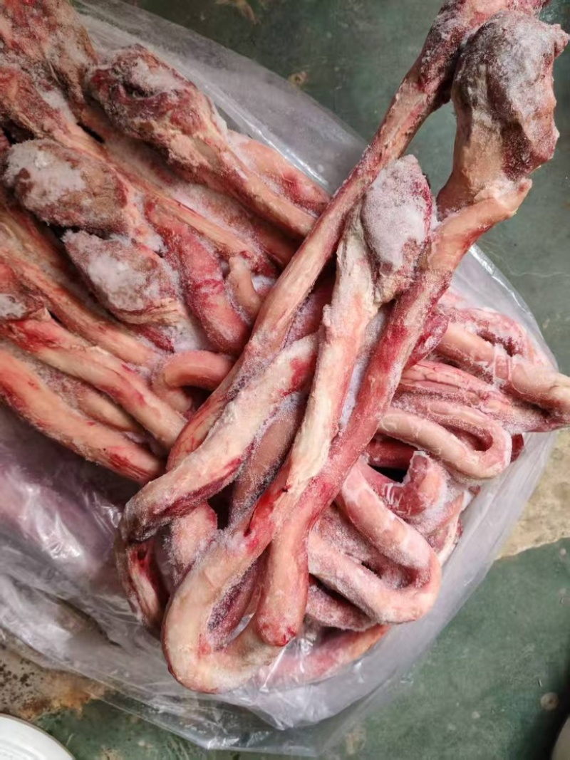 牛鞭带点根