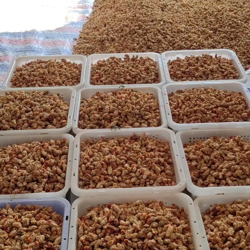 食用仙人掌花养胃中药材仙人掌花茶产地直销批发零售